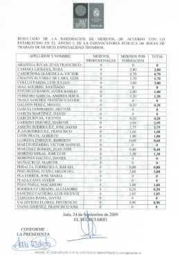 apellidos y nombre meritos meritos por total profesionales formacion