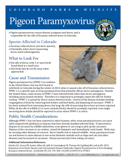 Pigeon Paramyxovirus - Colorado Parks and Wildlife