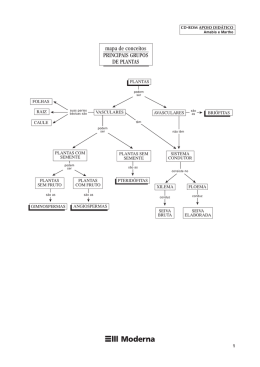 mapa de conceitos PRINCIPAIS GRUPOS DE PLANTAS