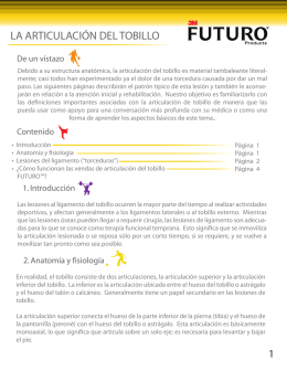 la articulacion del tobillo 1