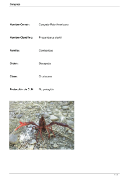 Nombre Común: Cangrejo Rojo Americano Nombre Científico