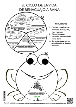 el ciclo de la vida: de renacuajo a rana