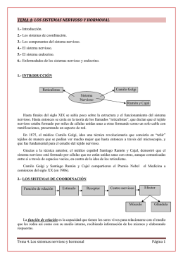 Tema 4_Los sistemas nervioso y hormonal