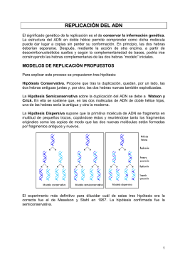 REPLICACIÓN DEL ADN
