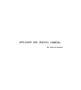 SITUACION DEL BOGOTA CHIBCHA