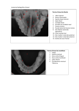 Anatomia Radiográfica Oclusal Técnica Oclusal da