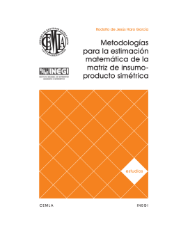 Metodologías para la estimación matemática de la matriz de insumo