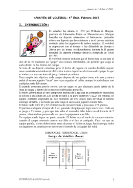 apuntes de voleibol