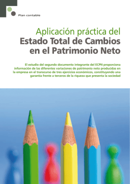Aplicación práctica del Estado Total de Cambios en el Patrimonio