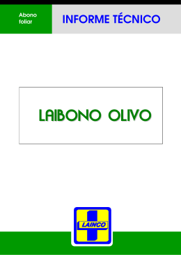 laibono olivo