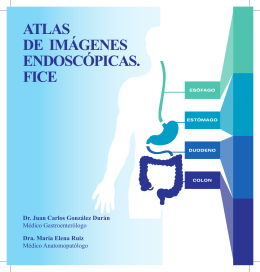 atlas de imágenes endoscópicas. fice