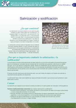 Salinización y sodificación - agrilife