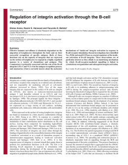 Regulation of integrin activation through the B