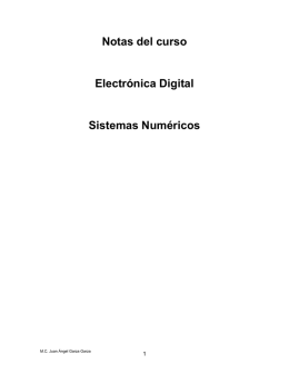 Sistemas Numéricos - Ing. Juan Ángel Garza Garza