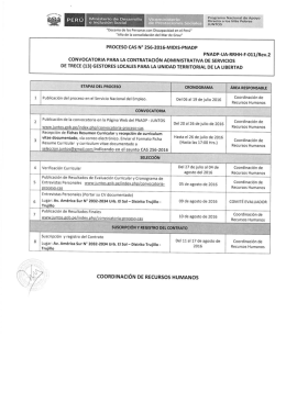 Page 1 " " --, Prograrºn a Nacional de Apoyo PERU Ministerio de
