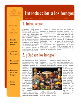 Introducción a los hongos