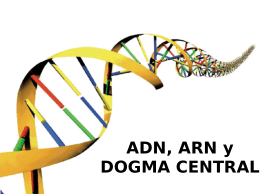 ADN, ARN y DOGMA CENTRAL