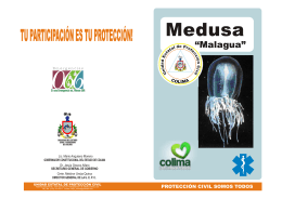 Medusa "Malagua" - Protección Civil