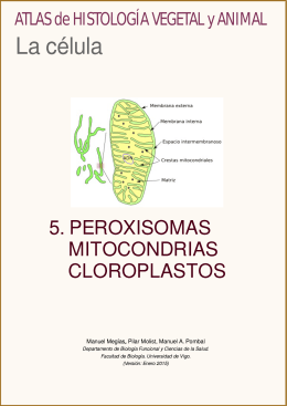 Peroxisomas, cloroplastos, mitocondrias