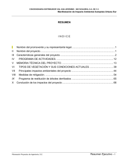 Resumen Ejecutivo - i RESUMEN I N D I C E
