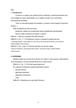 1 - PIEL 1. Introducción La piel es un órgano que cumple