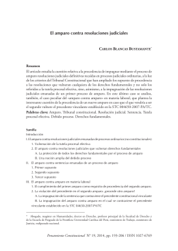 El amparo contra resoluciones judiciales