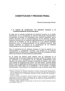 CONSTITUCION Y PROCESO PENAL