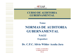 NORMAS DE AUDITORIA GUBERNAMENTAL
