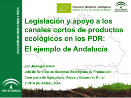 Canales cortos PDR 2020