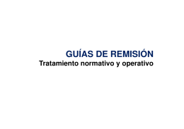 GUÍAS DE REMISIÓN