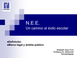 NEE Un camino al éxito escolar