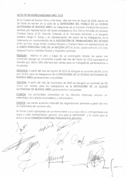 Acta paritaria 5-16