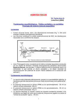 agentes fisicos