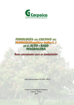 MANGO(Mangifera indica L.)