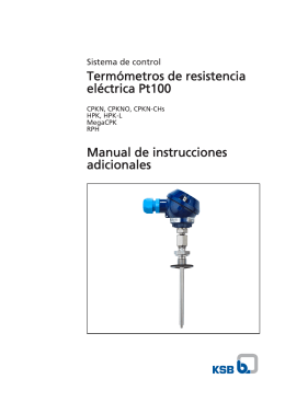 Termómetros de resistencia eléctrica Pt100 Manual de instrucciones