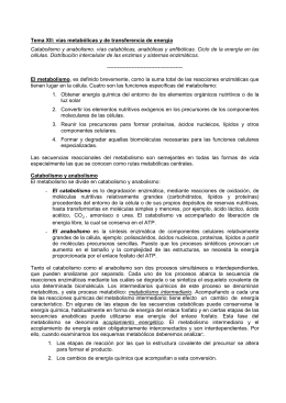 Tema XII: vías metabólicas y de transferencia de energía