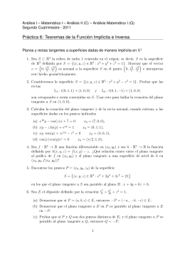Práctica 6: Teoremas de la Función Implícita e Inversa
