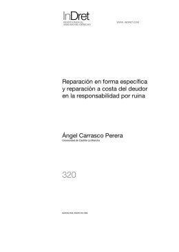 Los criterios de decisin jurisprudenciales