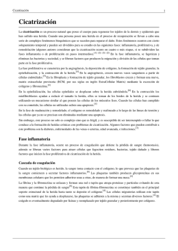 Cicatrización
