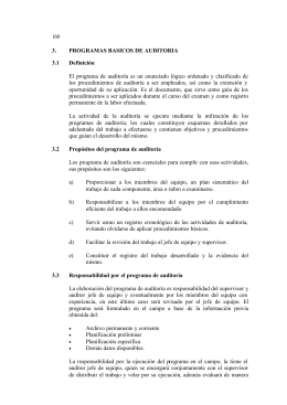 3. PROGRAMAS BASICOS DE AUDITORIA 3.1 Definición El