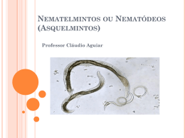 Nematelmintos ou Nematódeos (Asquelmintos)