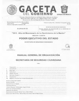 Manual General de Organización de la Secretaría de Seguridad