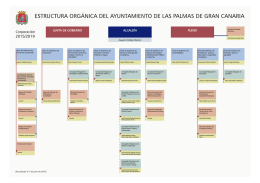 organigrama v 160728x4.cdr