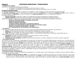 Tema 6 SISTEMAS NERVIOSO Y ENDOCRINO.