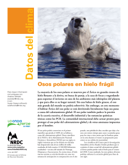 NRDC: Osos polares en hielo frágil