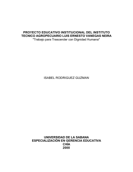 PROYECTO EDUCATIVO INSTITUCIONAL DEL INSTITUTO