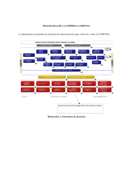 Diagrama Organizacional de CODENSA