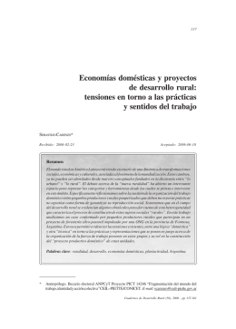 Economías domésticas y proyectos de