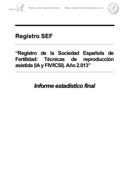 Informe estadistico SEF_2013_v6