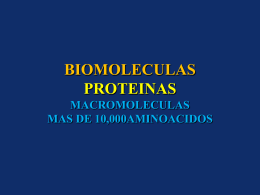 BIOMOLECULAS PROTEINAS